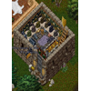 Ultima Online 30005
