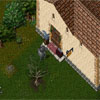 Ultima Online 30056