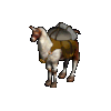 Ultima Online PackLlama