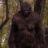Skunk Ape