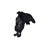 Larval Vampire