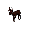 Prancer