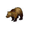 Raging Grizzly Bear