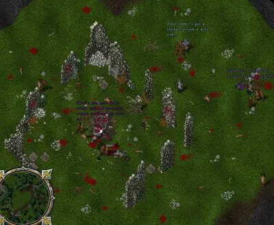 Camp of knights hidden in jungle