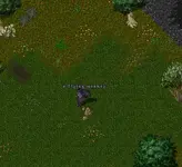 Flying Monkey