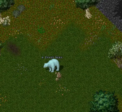 Frost Bear