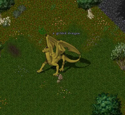 Gilded Dragon