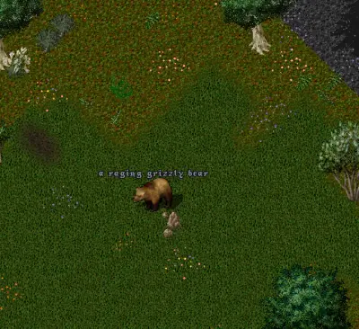 Raging Grizzly Bear